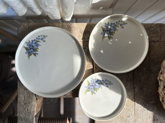 Šķīvis 23cm ( lielais) ar vienu neaizmirstuļu pušķi