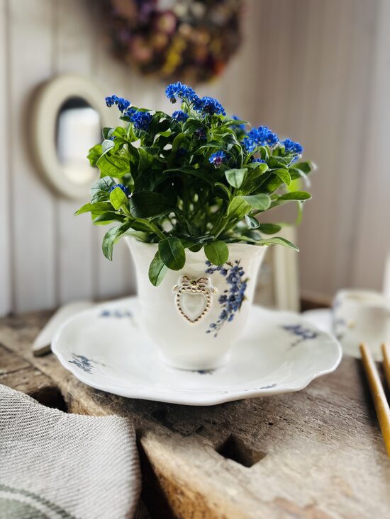 Vāze ar neaizmirstulītēm H 13cm, D 15 cm 